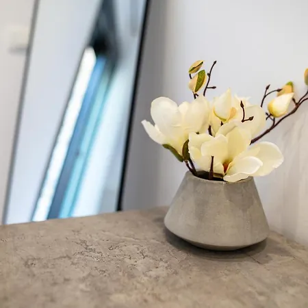 Daire Deluxe House *