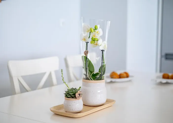 Appartement Deluxe House