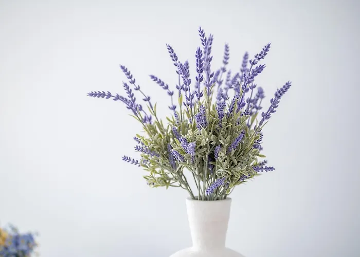 شقة Deluxe House بلدة كوس