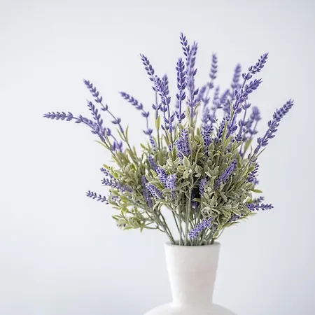 Appartement Deluxe House Kos-stad