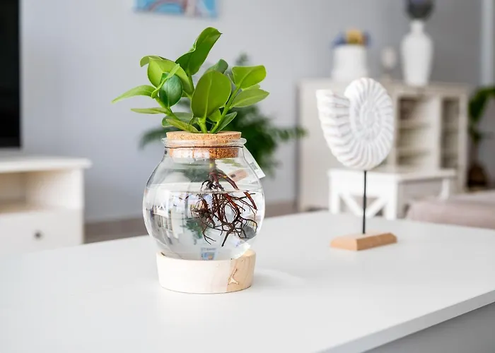 Deluxe House Apartment Kos-Stadt